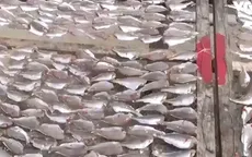 Tràn lan cá khô không an toàn