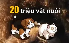 Dịch vụ cầu phúc cho vật nuôi ở Nhật Bản