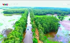 Bay bổng phương Nam: Khám phá cảnh sắc phương Nam tuyệt đẹp bằng góc máy flycam