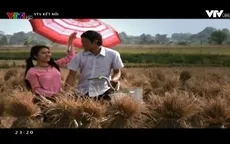 "Sông dài" mở đầu khung giờ phim mới trên VTV9 trong tháng 10