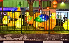Lễ hội đèn lồng đón tết Đinh Dậu tại Singapore