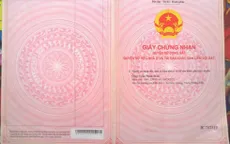 Từ ngày 5/12, sổ đỏ sẽ ghi tên các thành viên trong gia đình