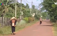 Khó khăn trong phòng chống sốt rét tại Đắk Lắk
