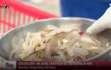 Sứa ăn liền - hướng đi mới của người dân Nam Định