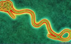WHO xác nhận ca nhiễm virus Ebola thứ hai tại CHDC Congo