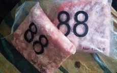 TT-Huế: Phát hiện hơn 1.000kg sụn gà không rõ nguồn gốc