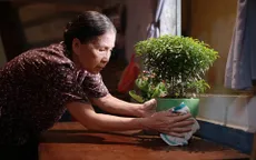 Chiếu suất sớm phim “Có căn nhà nằm nghe nắng mưa”