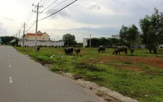 TP.HCM: Diện tích đất sau khi tách thửa tối thiểu 36m2