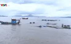 Tái thiết vùng nuôi thủy sản sau bão