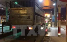 Đồng Nai khởi tố tài xế xe tải cán chết thiếu tá cảnh sát giao thông