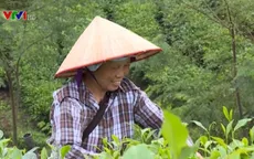 Tân Trào nỗ lực xây dựng nông thôn mới, thay đổi diện mạo vùng đất cách mạng