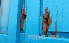 Điều tra vụ một ngư dân thiệt mạng trên biển