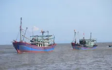 Cam kết không đánh bắt hải sản bất hợp pháp