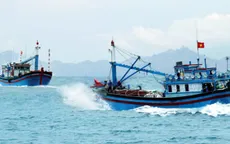 Tước giấy phép vĩnh viễn tàu cá vi phạm vùng biển nước ngoài