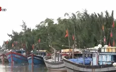 Hơn 200 tàu Quảng Nam không thể ra khơi do Cửa Đại bồi lấp