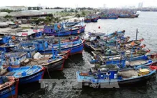 UBND TP.HCM gửi công văn khẩn về ứng phó với áp thấp nhiệt đới