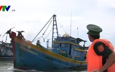 Hướng dẫn cách phòng tránh bão và bảo vệ tàu thuyền lồng bè hải sản