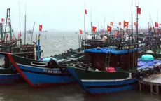 Ninh Thuận triển khai phương án đưa tàu thuyền vào bờ tránh bão