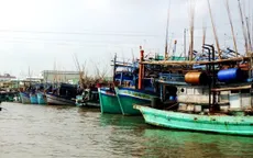 Các địa phương Đồng bằng sông Cửu Long phòng chống bão số 16