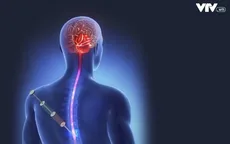 Thiếu hành lang pháp lý để phát triển công nghệ tế bào gốc