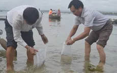 Bộ NN&PTNT làm việc với một số cơ sở thủy sản tại Phú Yên