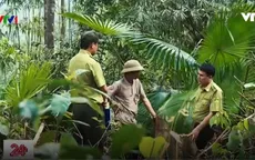 Thanh Hóa truy quét lâm tặc phá rừng