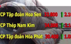 Cổ phiếu ngành tôn tăng mạnh sau quyết định áp thuế