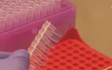 Minilab - Phòng thí nghiệm phân tích ADN di động