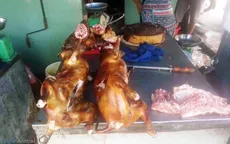 Nhật Bản bắt giữ 3 người Việt nhập lậu thịt chó