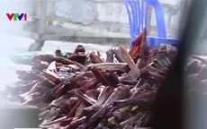 Hãi hùng lợn chết được hô biến thành đặc sản thịt hun khói