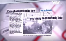 Khủng hoảng thừa đàn lợn: Vì đâu nên nỗi?