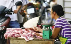 Bình Định: Triển khai nhiều giải pháp hỗ trợ người chăn nuôi lợn