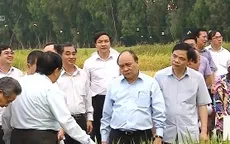 Thủ tướng làm việc với doanh nghiệp đi đầu trong việc sản xuất lúa gạo ở ĐBSCL