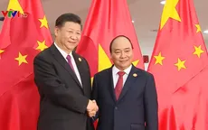 Thủ tướng Nguyễn Xuân Phúc hội kiến Tổng Bí thư, Chủ tịch Trung Quốc Tập Cận Bình