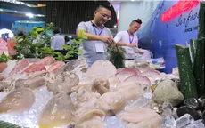 EU sẽ dừng nhập khẩu thủy sản nếu Việt Nam không tuân thủ quy định mới