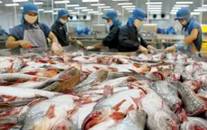 Cần sớm khắc phục tình trạng thủy sản bị trả về