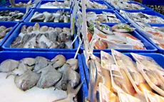 Nhiều lựa chọn hàng thủy sản tại Hội chợ Thủy sản Quốc tế 2017