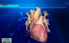 Hội chứng “trái tim tan vỡ” có thể khiến người mắc tử vong vì quá đau lòng