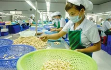 Năm thứ 12 liên tiếp Việt Nam đứng đầu thế giới về xuất khẩu điều