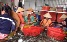 Phát hiện 3 cơ sở bơm tạp chất vào tôm