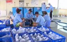 Sóc Trăng khởi công Khu sản xuất tôm giống chất lượng cao