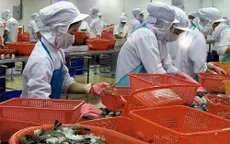 Nâng cao giá trị tôm xuất khẩu