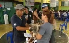 Ứng dụng theo dõi tiêm phòng cho chó