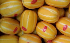 Ma trận tem dán nhãn nhập khẩu trái cây, người tiêu dùng loạn!