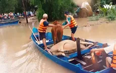 Tết vùng lũ: Cận cảnh ngày mới ở nơi lũ lụt vừa đi qua