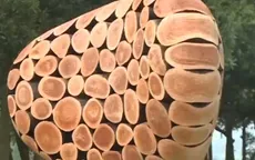 Art in the Forest đưa người xem đến gần hơn nghệ thuật đương đại