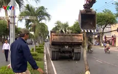 Trồng cây xanh theo chủ đề ở Cần Thơ: Nhiều ý kiến băn khoăn