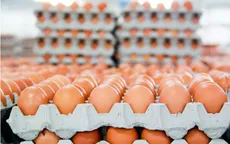 Hàn Quốc ban lệnh thanh tra toàn bộ ngành thực phẩm