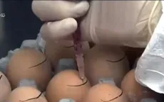 Hàn Quốc phát triển loại trứng hạn chế béo phì và trầm cảm