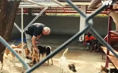 Trạm cứu hộ Soi Dog - mái nhà cho những chú chó được giải cứu